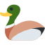 icon-duck