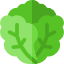 icon-leaf
